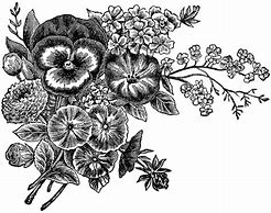 Image result for Clip Art for Flower Black and White