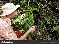 Image result for ecologista