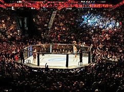 Image result for MMA Octagon Cage