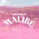 Image result for Malibu Caribbean Rum Label