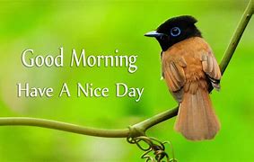 Image result for Good Morning Have a Great Day Cute