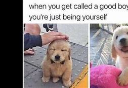 Image result for Wholesome Mental Health Memes