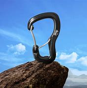 Image result for Rotating Carabiner Hook