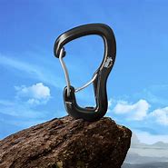 Image result for Carabine Hook