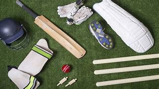 Image result for Cricket Instrument