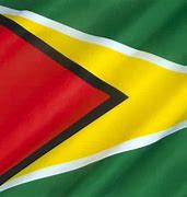 Image result for Guyana Flag Meaning