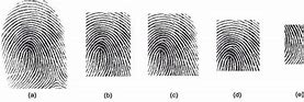 Image result for Partial Fingerprint Recognition
