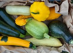 Image result for Types of Summer Squash
