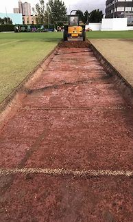 Image result for Turf Cricket Pitch
