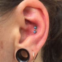 Image result for Opal Conch Studs