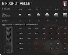 Image result for Lead Shot Sizes