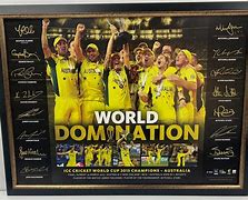 Image result for World Cup Cricket Lays Limited Edition