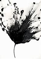 Image result for Black and White Abstract Flowers