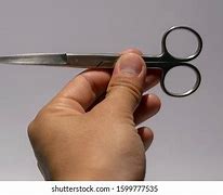 Image result for Dressing Scissors