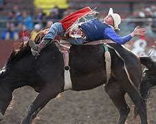 Image result for College Rodeo Cowboys