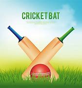 Image result for Cricket Illustration