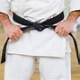 Image result for Karate Belt Stages
