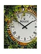 Image result for Chris Evert Rolex