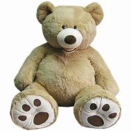 Image result for Costco Big Bear