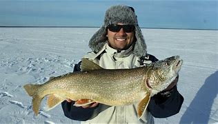 Image result for Fishing Cold Lake Alberta