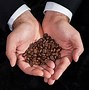 Image result for Kopi Luwak Coffee Process