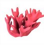 Image result for Neon Pink Coral Color