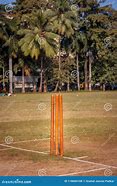 Image result for Cricket Stumps CA