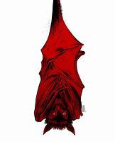 Image result for Black and Red Bats