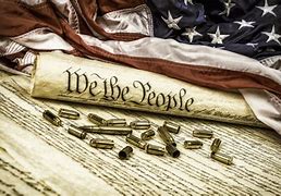 Image result for Forefathers Write the Second Amendment