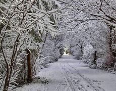 Image result for 15 Cm Snow