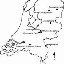 Image result for Netherlands Famous Sites