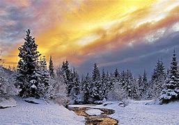 Image result for Winter Nature Wallpaper HD
