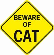 Image result for Cat Enter Sign