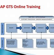 Image result for Spro SAP GTS