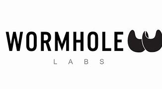 Image result for Wormhole Logo