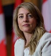 Image result for Melanie Joly Mask