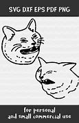 Image result for Google Cat Memes