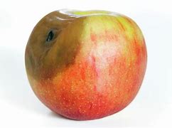 Image result for Rotting Apple