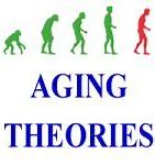 Image result for Programmed Aging Theory