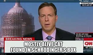 Image result for Breaking News Cat Memes