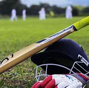 Image result for Cricket Gear Brands