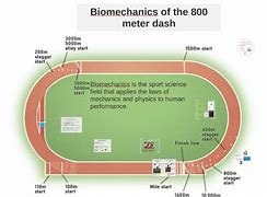 Image result for How Long Is 800 Meters