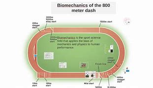 Image result for How Long Is 800 Meteres