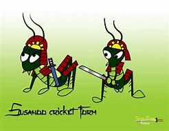 Image result for Samurai Cricket Art