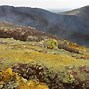 Image result for Virunga Mountains