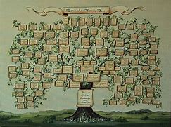 Image result for Family Tree Design Ideas