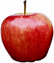Image result for Apple Logo Icon PNG
