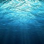 Image result for Undersea Wallpaper
