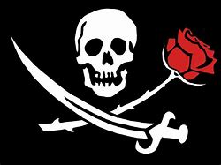 Image result for Poorly Made Jolly Roger