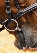 Image result for Cutting Horse Bits
